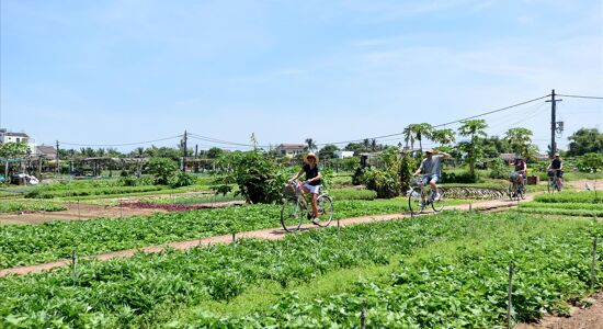 d/Tra Que Herb Village Biking
